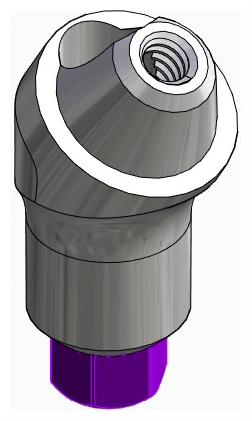 BIONIKA BIOLEVEL, Multi-unit abutment, angled, positioned, wide, LT2, type-B