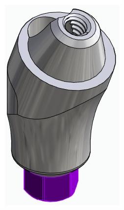 BIONIKA BIOLEVEL, Multi-unit abutment, angled, positioned, wide, LT2, type-B