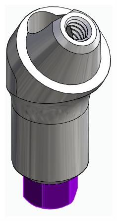 BIONIKA BIOLEVEL, Multi-unit abutment, angled, positioned, wide, LT2, type-B