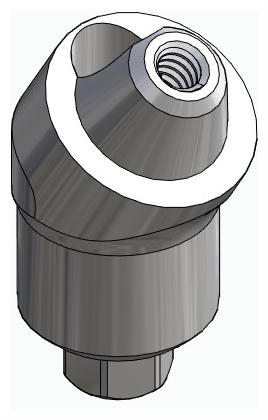 BIONIKA BIOLEVEL, Multi-unit abutment, angled, positioned, wide, LT2, type-B
