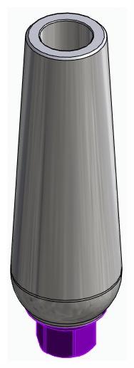 BIONIKA BIOLEVEL, Universal abutment, straight, positioned