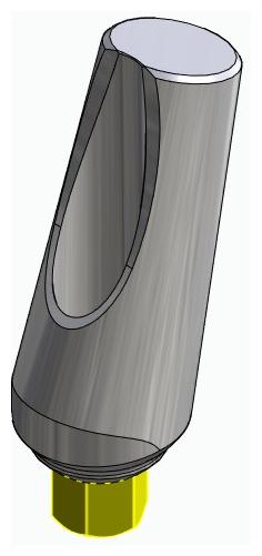 BIONIKA BIOLEVEL, Universal abutment, angled, positioned, type-A