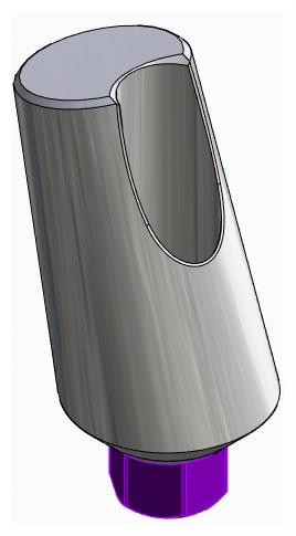 BIONIKA BIOLEVEL, Universal abutment, angled, positioned, type-A