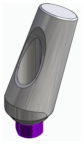 BIONIKA BIOLEVEL, Universal abutment, angled, positioned, type-A