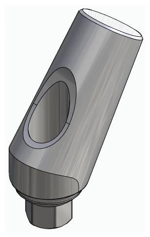 BIONIKA BIOLEVEL, Universal abutment, angled, positioned, type-A