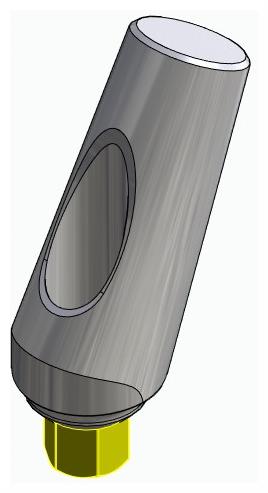 BIONIKA BIOLEVEL, Universal abutment, angled, positioned, type-B