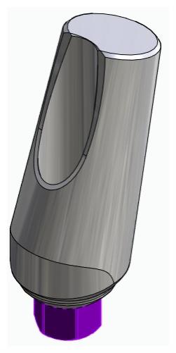 BIONIKA BIOLEVEL, Universal abutment, angled, positioned, type-B