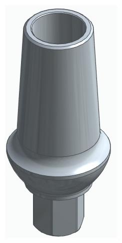 BIOPLANT, Anatomic abutment, straight, positioned