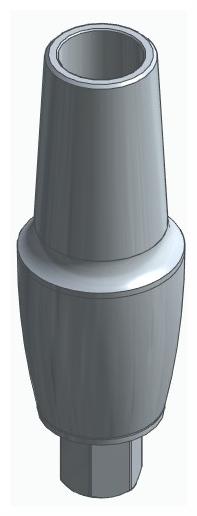 BIOPLANT, Anatomic abutment, straight, positioned