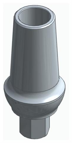 BIOPLANT, Anatomic abutment, straight, positioned