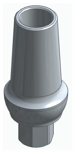 BIOPLANT, Anatomic abutment, straight, positioned