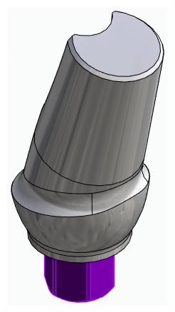 BIOPLANT, Anatomic abutment, angled, 15°, positioned, type-A