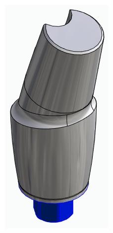 BIOPLANT, Anatomic abutment, angled, 15°, positioned, type-A