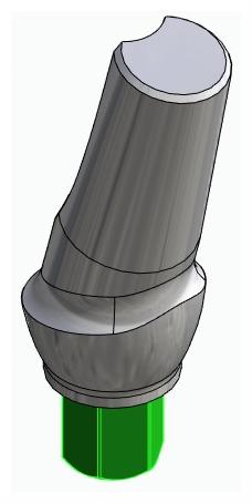 BIOPLANT, Anatomic abutment, angled, 15°, positioned, type-B