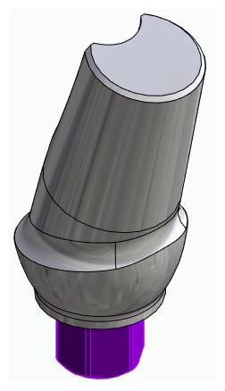 BIOPLANT, Anatomic abutment, angled, 15°, positioned, type-B