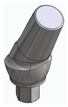 BIOPLANT, Anatomic abutment, angled, 25°, positioned, type-A
