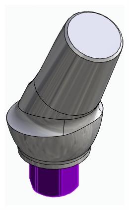 BIOPLANT, Anatomic abutment, angled, 25°, positioned, type-A