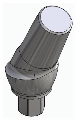 BIONIKA BIOPLANT, Anatomic abutment, angled, 25°, positioned, type-B