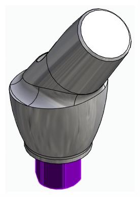 BIOPLANT, Anatomic abutment, angled, 35°, positioned, type-A