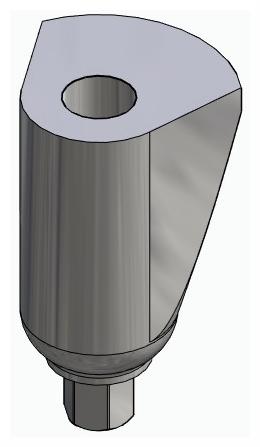 BIONIKA BIOPLANT, Delta abutment, positioned