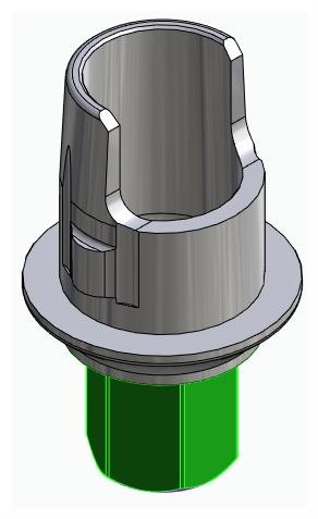 BIOPLANT, Flexi base, implant level, positioned, type-A