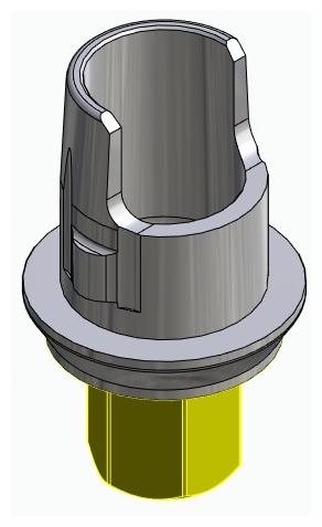 BIOPLANT, Flexi base, implant level, positioned, type-A
