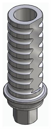 BIOPLANT, Temporary abutment, implant level, positioned