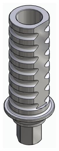 BIOPLANT, Temporary abutment, implant level, positioned
