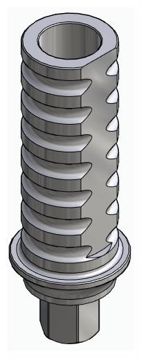 BIOPLANT, Temporary abutment, implant level, positioned