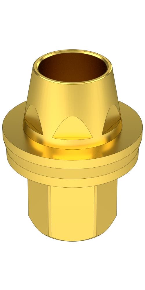 Bioplant, Multi-unit abutment, screw retained