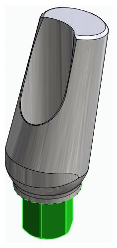 BIOPLANT, Narrow abutment, angled, positioned, type-A