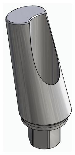 BIOPLANT, Narrow abutment, angled, positioned, type-A