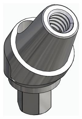 BIOPLANT, Multi-unit SR abutment, angled, positioned, type-A