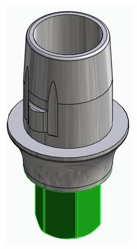 BIOPLANT, Titanium base, positioned