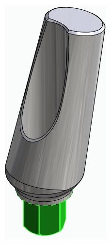 BIOPLANT, Universal abutment, angled, positioned, type-A