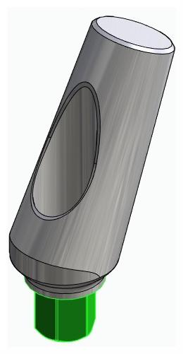 BIOPLANT, Universal abutment, angled, positioned, type-A