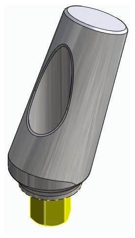 BIOPLANT, Universal abutment, angled, positioned, type-A