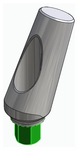 BIOPLANT, Universal abutment, angled, positioned, type-B