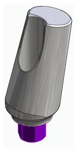 BIOPLANT, Universal abutment, angled, positioned, type-B