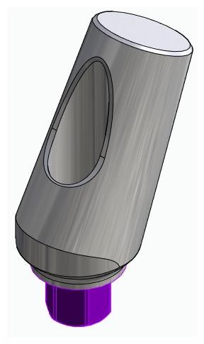 BIOPLANT, Universal abutment, angled, positioned, type-B