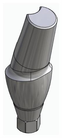BIONIKA CORTICAL, Anatomic abutment, angled, 15°, positioned, type-B