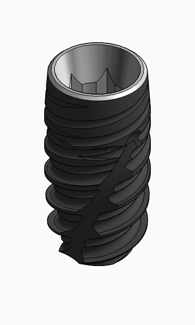 BIONIKA CORTICAL, Implant