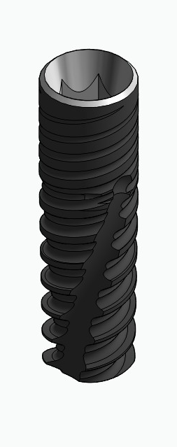 BIONIKA CORTICAL, Implant