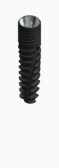 BIONIKA CORTICAL, Implant