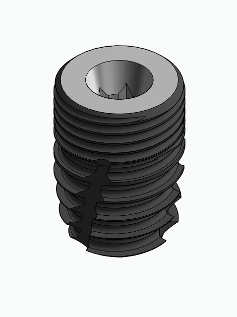 BIONIKA CORTICAL, Implant