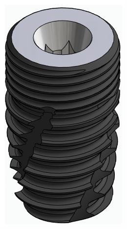 BIONIKA CORTICAL, Implant