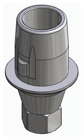 BIONIKA CORTICAL, Titanium base, positioned