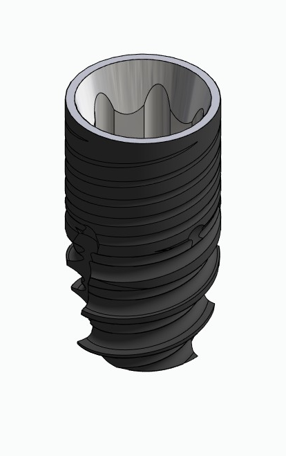 BIONIKA ECOPLANT, Implant