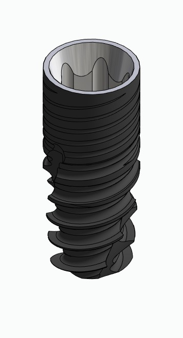 BIONIKA ECOPLANT, Implant