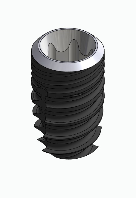 BIONIKA ECOPLANT, Implant